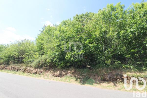 Terrain à vendre 1 288 m² Viala-du-Tarn