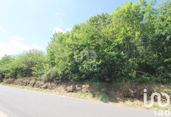 Terrain à vendre 1 288 m² Viala-du-Tarn
