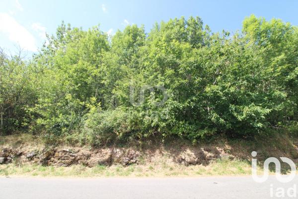 Terrain à vendre 1 288 m² Viala-du-Tarn