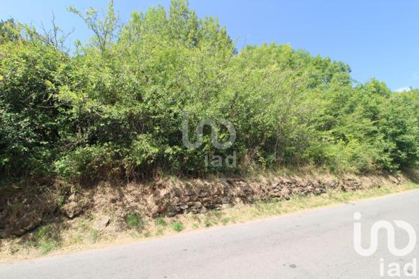 Terrain à vendre 1 288 m² Viala-du-Tarn