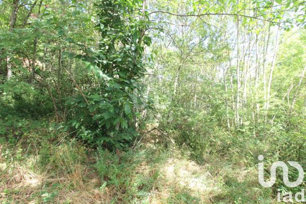 Terrain à vendre 1 288 m² Viala-du-Tarn