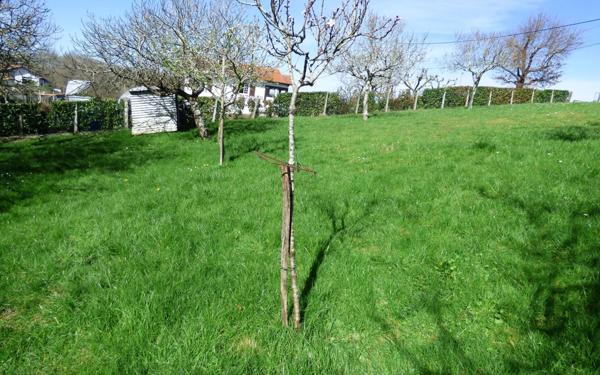Terrain à vendre    Urcuit
