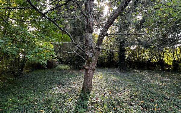 Maison à vendre    4 pièces • 78 m2 Bretoncelles