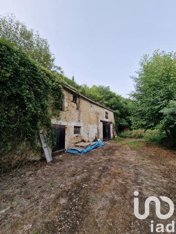 Maison à vendre 11 pièces 298 m² Lussac-les-Châteaux