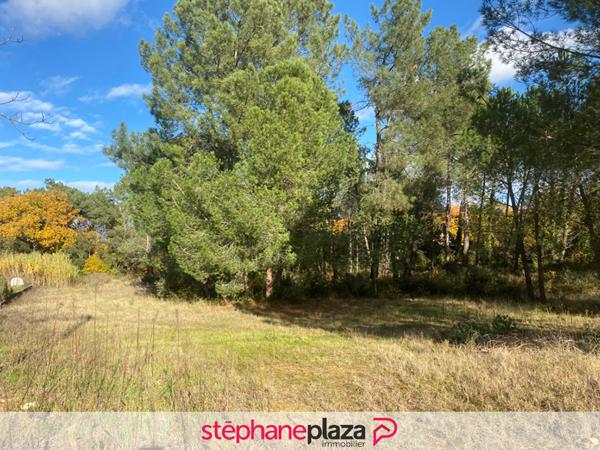 Terrain 3429 m2