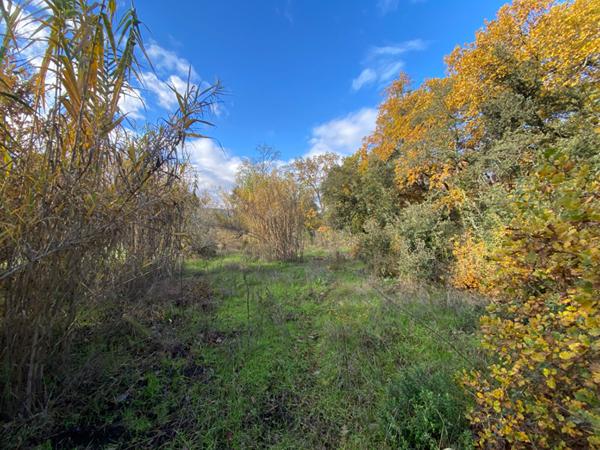 Terrain 3429 m2