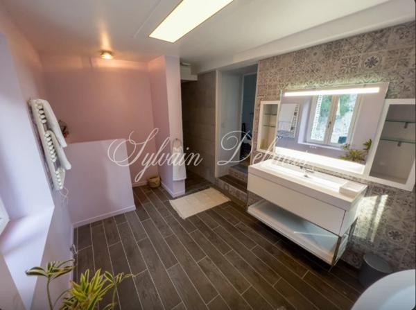 Propriete à vendre 18 pièces proche de TOURS (37)