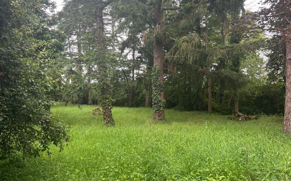 Maison à vendre    7 pièces • 263 m2 Bou