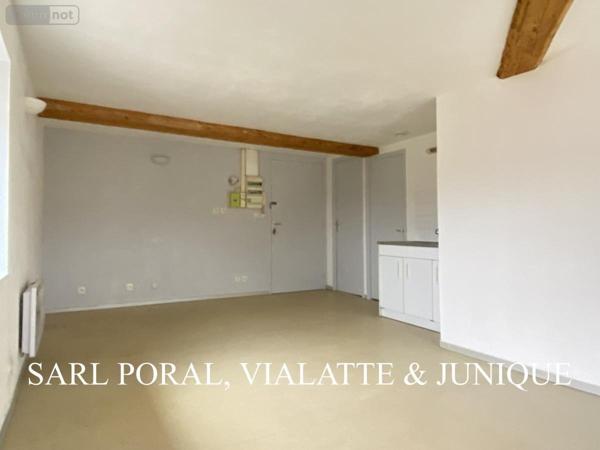 Appartement à louer à Pont-d'Ain dans l'Ain (01160), ref : 01031-L687