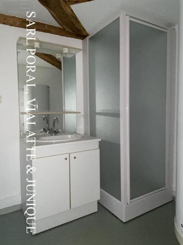 Appartement à louer à Pont-d'Ain dans l'Ain (01160), ref : 01031-L687