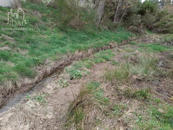 Vente Terrain 1720 m2 à Les Laubies