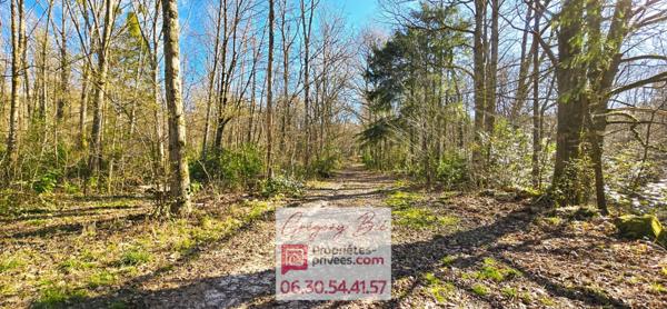 Domaine forestier avec maison 11,5 hectares La Ferté-sous-Jouarre