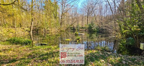 Domaine forestier avec maison 11,5 hectares La Ferté-sous-Jouarre