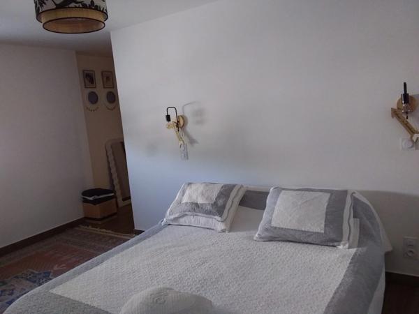 Maison à vendre 5 pièces BORDERES SUR L'ECHEZ (65) sur 1500 m² de terrain avec piscine et pool house.