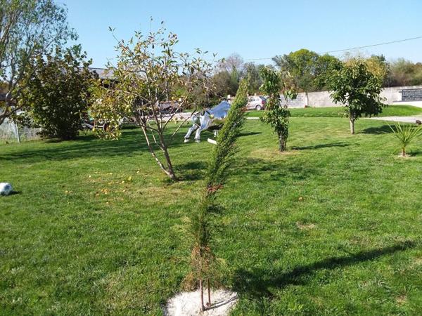 Maison à vendre 5 pièces BORDERES SUR L'ECHEZ (65) sur 1500 m² de terrain avec piscine et pool house.