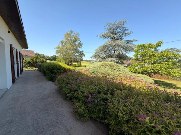 Pavillon sur sous sol de 170m², 5 chambres, piscine sur terrain de 2000m² 197 000 €