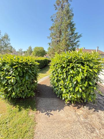 Pavillon sur sous sol de 170m², 5 chambres, piscine sur terrain de 2000m² 197 000 €