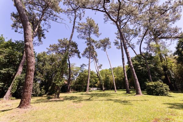 Labenne (40) - À VENDRE – Maison de plain-pied avec dépendances, piscine et terrain de 9 700 m²