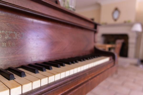 Labenne (40) - À VENDRE – Maison de plain-pied avec dépendances, piscine et terrain de 9 700 m²