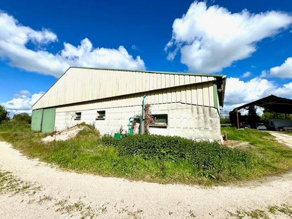HANGAR de 700 m2 couverts + Hangar ouvert de 280 m2 + Dépendance sur 8650 m2 de terrain agricole