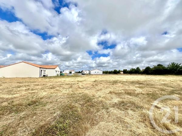 Terrain à vendre  500 m 2   LE FENOUILLER  - 85