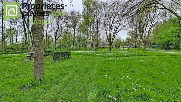 Maison en viager occupé .Segré-en-Anjou Bleu