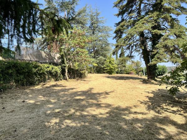 Maison en pierre 3 chambres avec jardin arboré