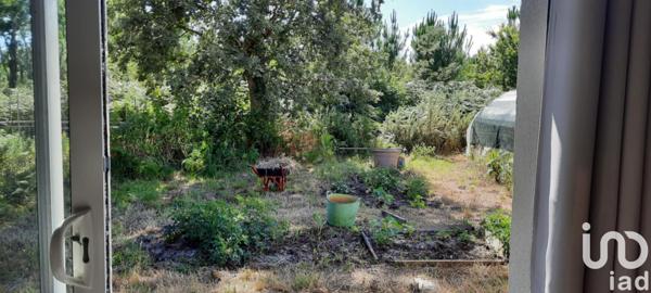 Maison à vendre 4 pièces 95 m² Sanguinet