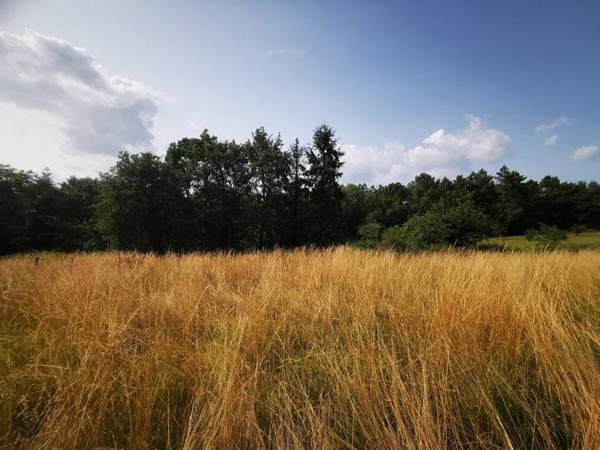 Maison à vendre |  Négrondes |  2 pièces | 68 m²