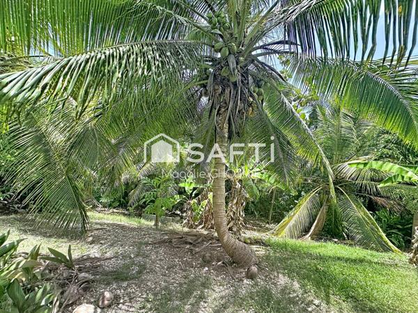 Villa exceptionnelle de 132m2 et son terrain de 1328m2 au Moule