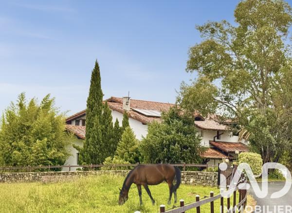 Maison à vendre 10 pièces 270 m² Villefranque