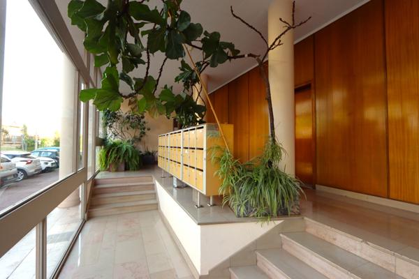 Appartement 2 pièces - 36 m² Exclusivité efficity