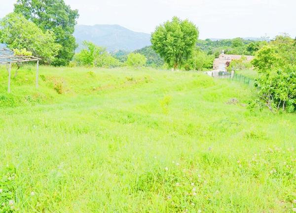 Terrain à vendre    Berre-les-Alpes