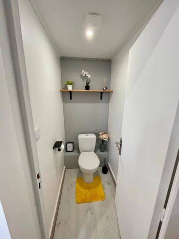 Duplex + studio meublé