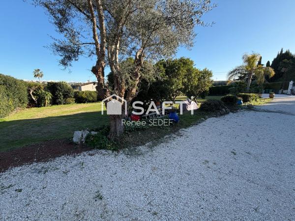 Superbe villa de prestige avec piscine et terrain paysager, idéale pour une résidence d’exception sur la Côte d’Azur.