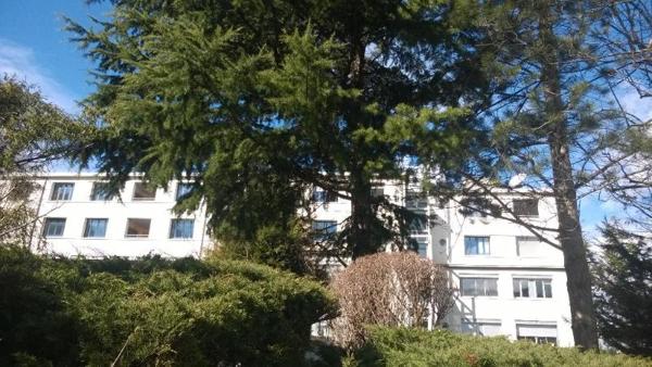 Appartement à louer 1 pièce 33.18m²