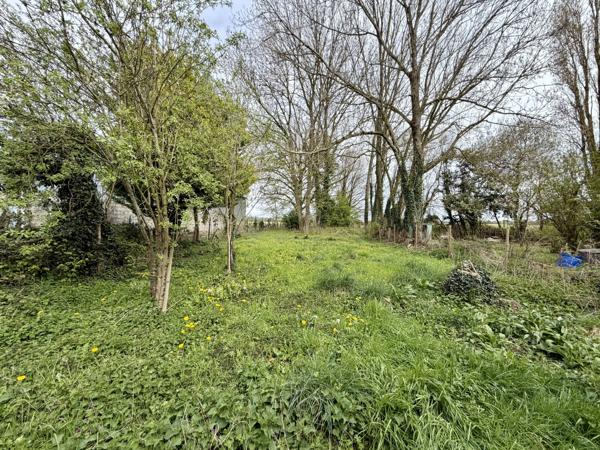 Vente                                                      Maison
                        
                     1 pièces                      118 m2                     à Coulommiers