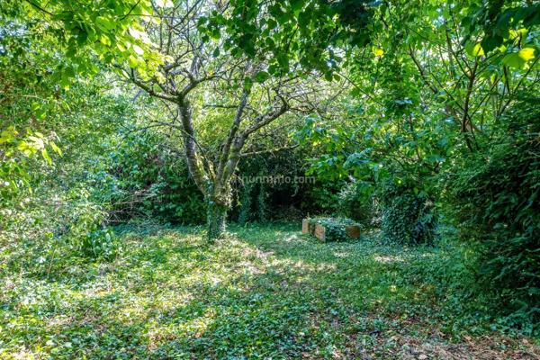 Vente                                                      Maison
                        
                     7 pièces                      154 m2                     à Thorigny-sur-Marne