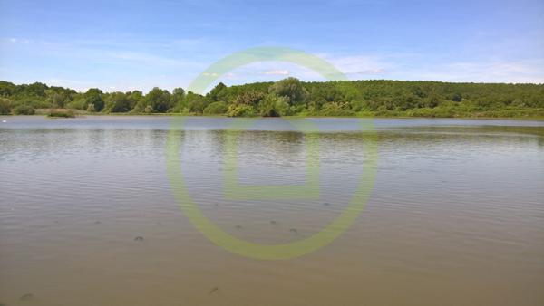 Terrain à NAVILLY (71270)