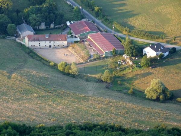 Commerce  en vente - Moselle - 57