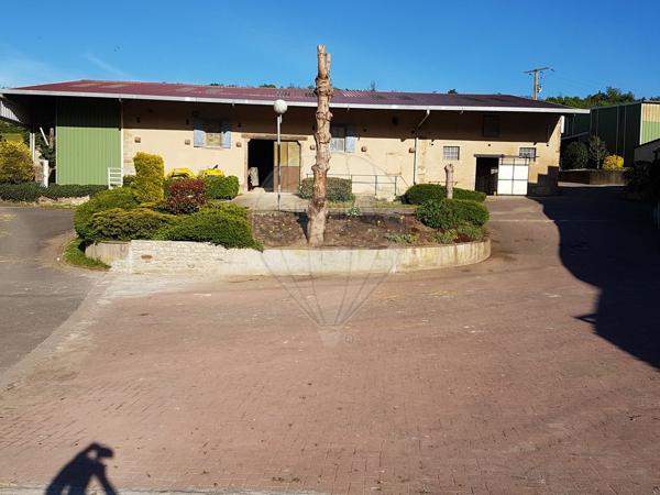 Commerce  en vente - Moselle - 57