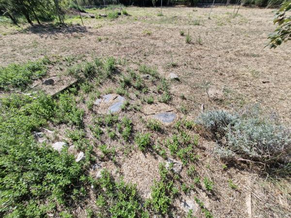 Maisonnette de campagne