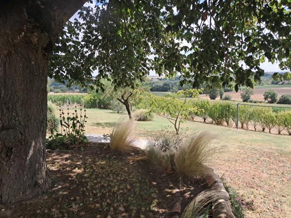 Maison à vendre P5 -160m2- Terrain 4044m2-Dépendances -Proche Astaffort