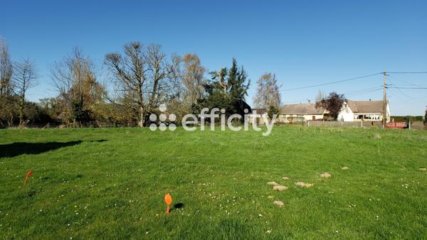 Terrain - 1306 m²