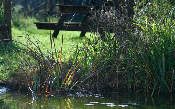 Maison à vendre    7 pièces • 204 m2 Saint-Xandre