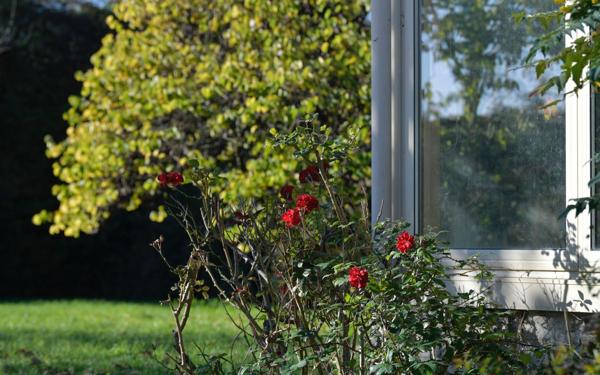 Maison à vendre    7 pièces • 204 m2 Saint-Xandre