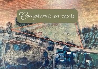 Terrain de loisirs - Bois - Etang à vendre à Bannalec dans le Finistère (29380), ref : 29118-1472