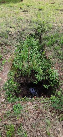 Terrain de loisirs - Bois - Etang à vendre à Chârost dans le Cher (18290), ref : 142547M