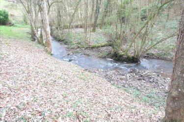 Terrain de loisirs - Bois - Etang à vendre à Ambrières-les-Vallées en Mayenne (53300), ref : 53075DLS23030 Terrain de loisirs - Bois - Etang à vendre à Ambrières-les-Vallées en Mayenne (53300), ref : 53075DLS23030 Terrain de loisirs - Bois - Etang à vendre à Ambrières-les-Vallées en Mayenne (53300), ref : 53075DLS23030