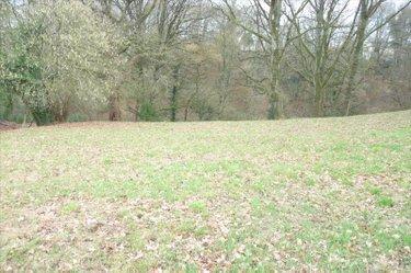 Terrain de loisirs - Bois - Etang à vendre à Ambrières-les-Vallées en Mayenne (53300), ref : 53075DLS23030 Terrain de loisirs - Bois - Etang à vendre à Ambrières-les-Vallées en Mayenne (53300), ref : 53075DLS23030 Terrain de loisirs - Bois - Etang à vendre à Ambrières-les-Vallées en Mayenne (53300), ref : 53075DLS23030